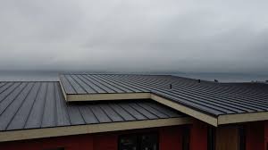 Best Slate Roofing  in Woodmoor, CO